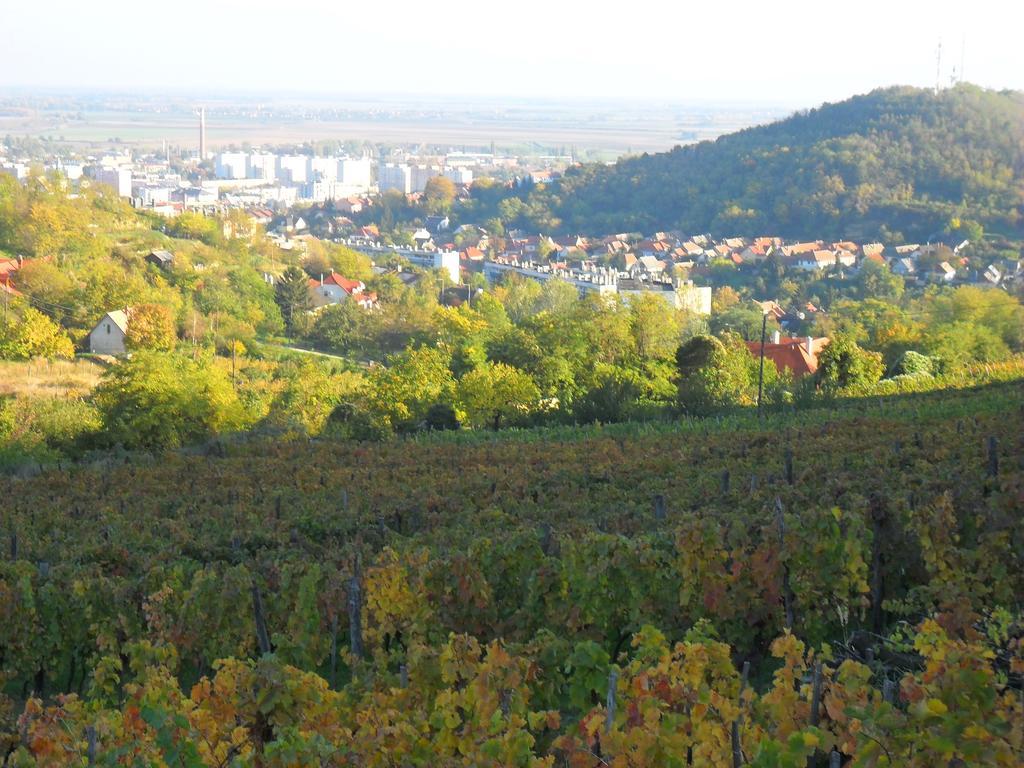 Szekszárd Lotuszvirag Vendeghaz酒店 外观 照片